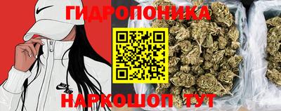 дживик Гагарин