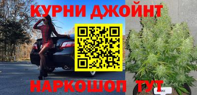 дживик Гай