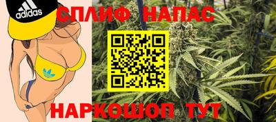 дживик Гай