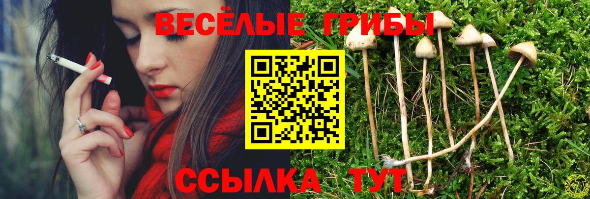 Псилоцибиновые грибы мухоморы Азнакаево