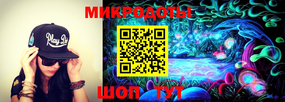 Галлюциногенные грибы Psilocybine cubensis  Азнакаево  Галлюциногенные грибы GOLDEN TEACHER 