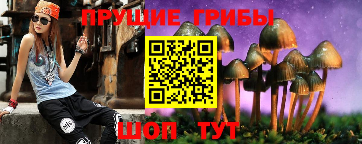 Псилоцибиновые грибы MAGIC MUSHROOMS Азнакаево