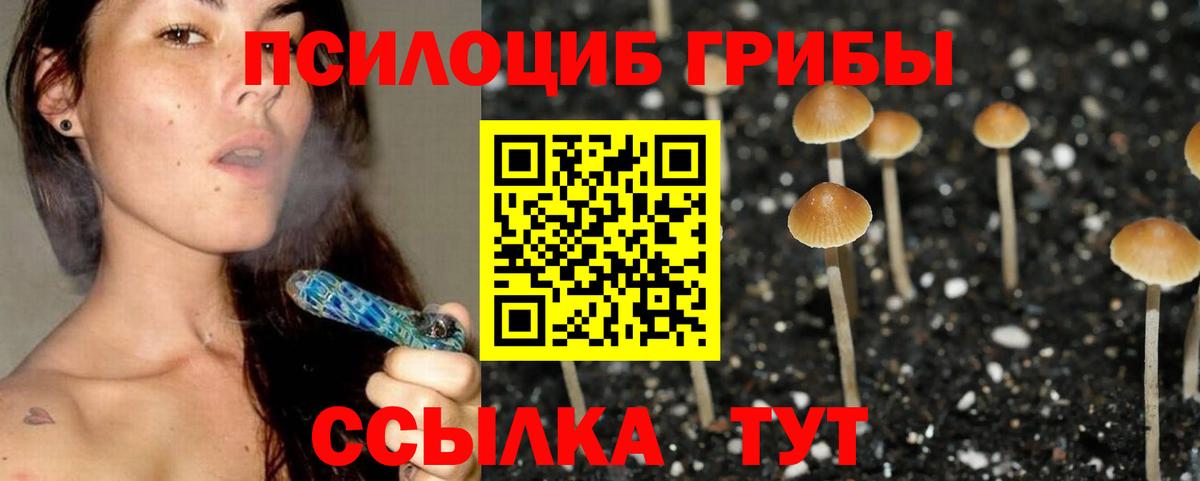 Азнакаево  Псилоцибиновые грибы ЛСД  Псилоцибиновые грибы ЛСД  Вход с VPN 